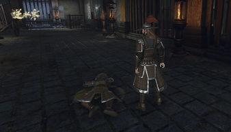 哪里能知道逆水寒最新爆料,揭秘最新爆料,游戏新篇章即将开启