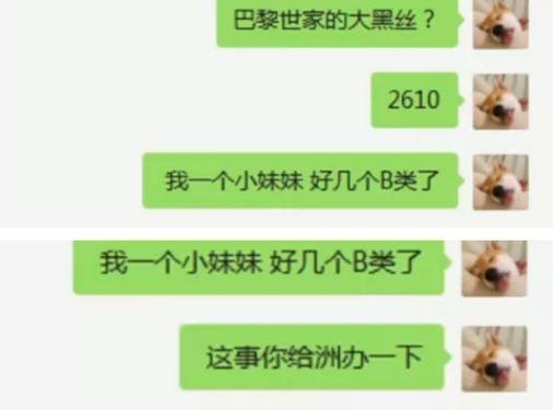 官方活动新爆料最新消息,揭秘神秘内容,精彩不容错过!